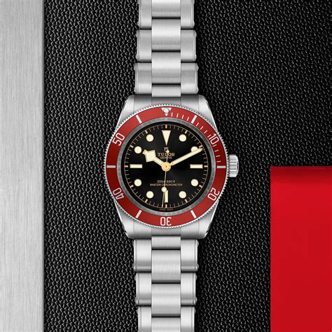 tudor 41mm black bay.